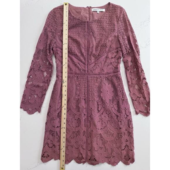 Cupcakes and Cashmere Dress Women’s Size 4 Lace Deco Rose Pink Fitted Lined - Picture 6 of 14